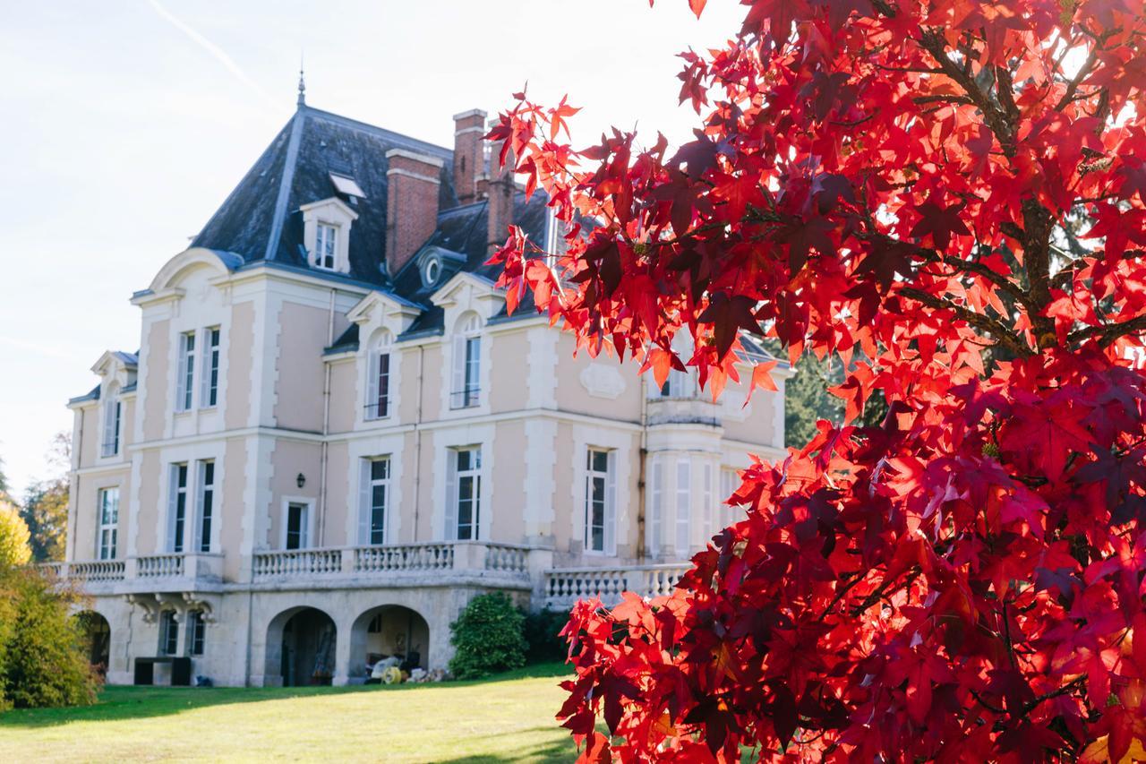 Bed and Breakfast Chateau D'Ardree Saint-Antoine-du-Rocher Exterior foto