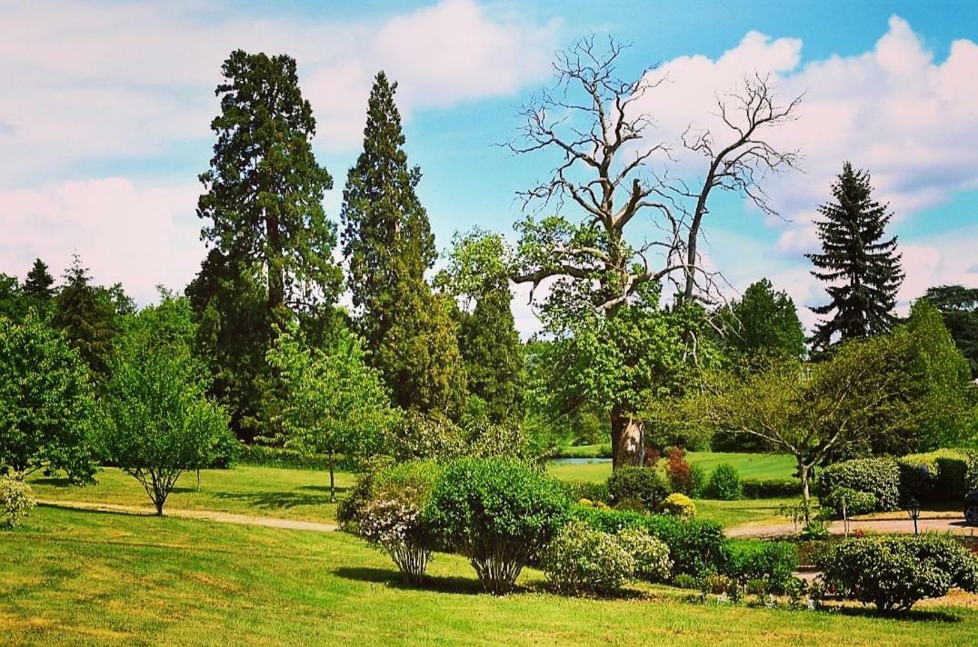 Bed and Breakfast Chateau D'Ardree Saint-Antoine-du-Rocher Exterior foto